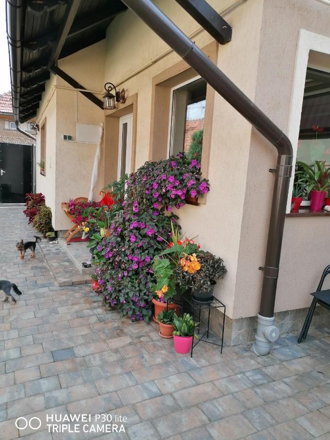 Готель Rasnov Retreat Екстер'єр фото