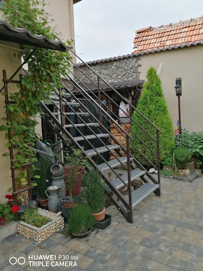 Готель Rasnov Retreat Екстер'єр фото