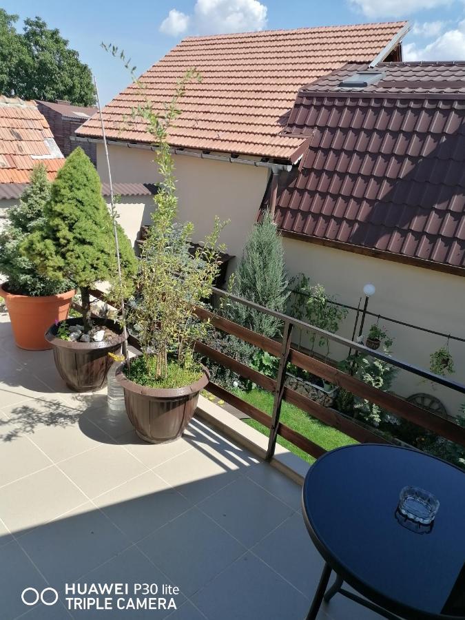 Готель Rasnov Retreat Екстер'єр фото